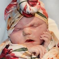 Magnolia Faye Plumley
