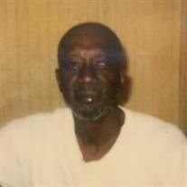 Mr. Paul Irving McLin