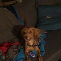 Milo