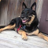 Max