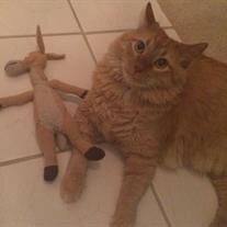 Tigger