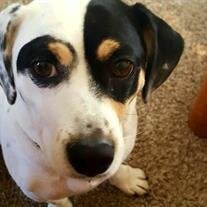 Cassie Belle