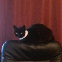 Marvin