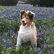 April