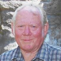 Mr. James Leo Jones