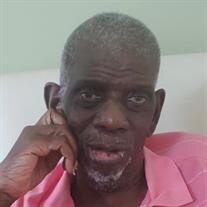 Mr James Nelson Jr.