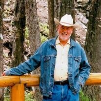 Michael "Mike" Hugh Harrison Sr.