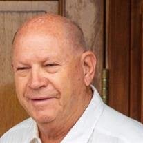 David Leo Robb