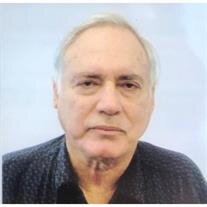 David Netzer