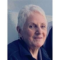 Diane Ellen Yedwab