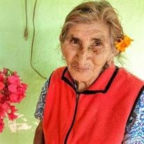 Maria Amparo Astello Olvera