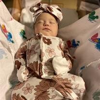 Adileigh James Frawley