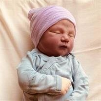 Bridger Rhett Coles