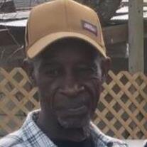 Mr. Roy Lee Spears Sr.