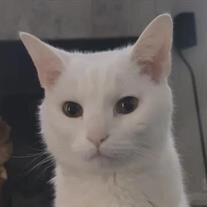 Gary