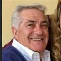 Michael C Capasso