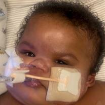 My'Zamir "Shyne" Khiceeyah Rollins Jelks