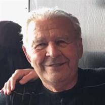 Hans J. Feye