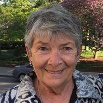 CAROL JEAN HANES