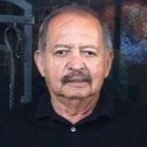 Robert L. Robinson