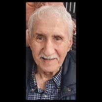 Mr. Anthony Sarro