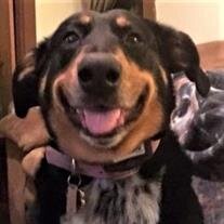 Daisy May Richard