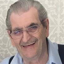 Rocco D. Viggiani