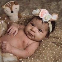 Baby Amiyah Sue McDaniel