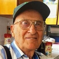 Mr. Peter Louis Klein