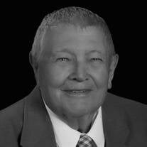 Honorable Henry Michael Moser III