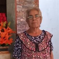 Margarita Ayala