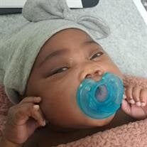 Solana Elizabeth Haynes