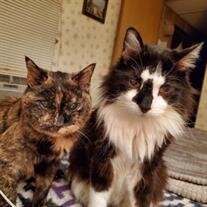Mag & Bo England