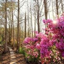 Terri Darlene Broussard