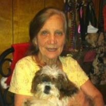 Ann Akers
