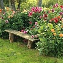 Janie Elizabeth Baisted