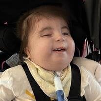 Lily J. Rainey