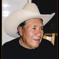 Encarnacion Viillanueva-Mercado
