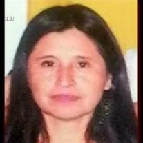 Felipa Gomez-Hernandez