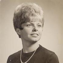 Carol Ann DiPietro