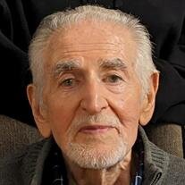 Domenic V. Coscia
