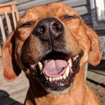 Tucker Roo Starr