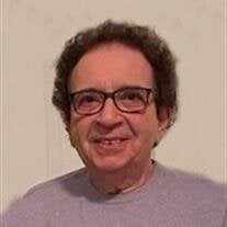 Dominic P. Volpe