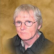 Terry Lance Darkis