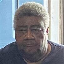 Ms. Anita Kay Brewer
