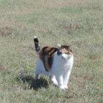 Kiki