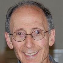 Paul Lewis Fern
