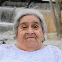Mary D Vigil