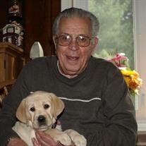 Mr. Joseph William Amato Sr.