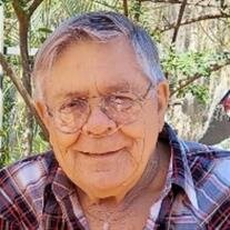 Donald Wollesen